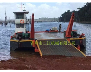 加蓬共和國(guó)客戶(hù)定制的擺渡船